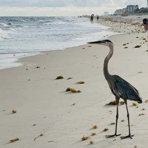 Meet your Posher, Esther